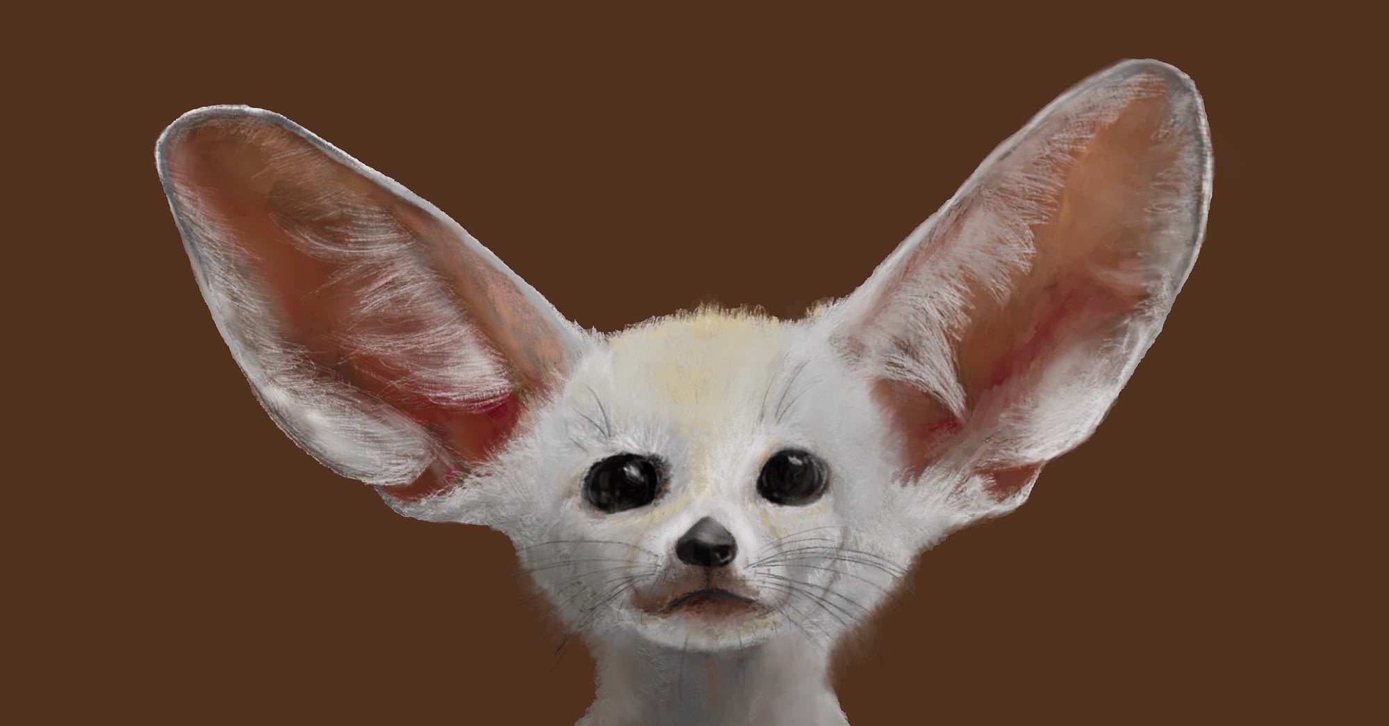 Fennec fox - Artwork - Untraced digital portrait of a fennec fox drawn from scratch in Procreate on iPad Pro. Part of a series I'm planning of digitally-drawn exotic/beautiful animal species'.
