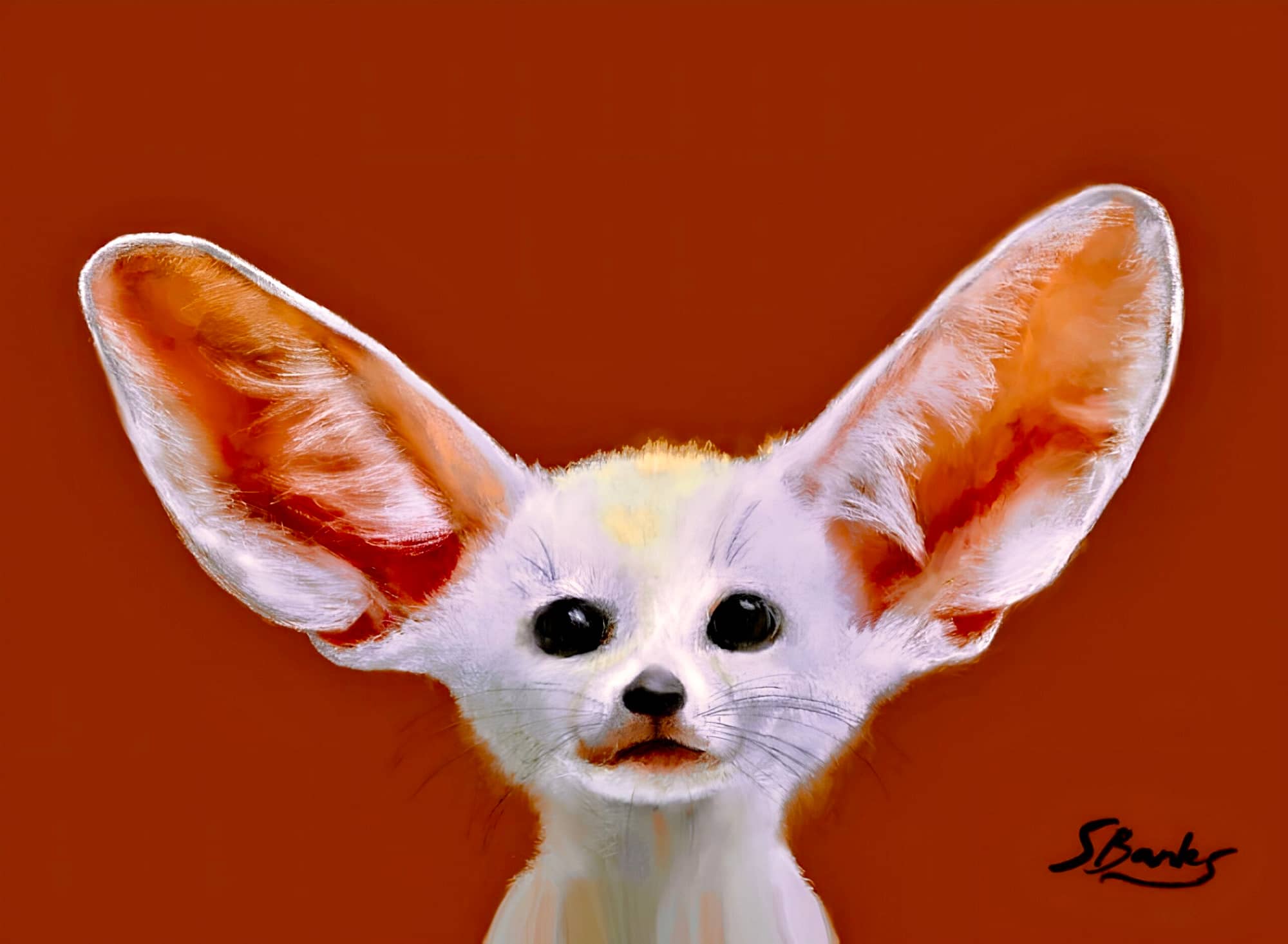 Fennec fox - Artwork
